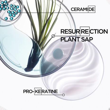 KÉRASTASE RESISTANCE BAIN FORCE ARCHITECTE SHAMPOO